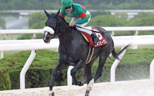 【園田・のじぎく賞結果】ニネンビーグミが抜け出して重賞2勝目