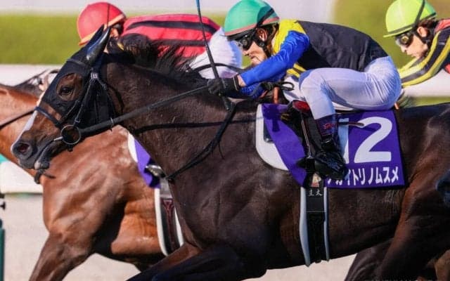 アカイトリノムスメが競走馬登録抹消