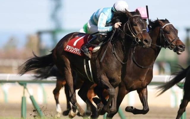 【ヴィクトリアマイル枠順確定】レイパパレは7枠13番、デアリングタクトは1枠1番