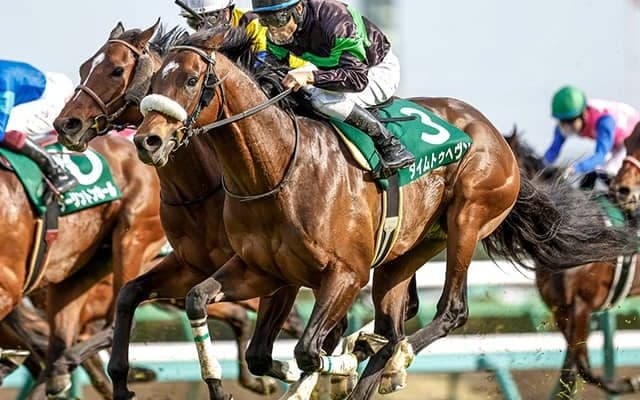 【京王杯SC予想】距離短縮に脚質不安…。あの「実績馬」に立ち塞がる弊害