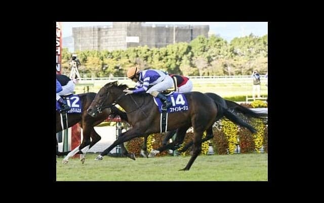 ヴィクトリアマイルは大波乱となるか。名手とコンビを組む２頭に穴党記者は「大駆けが期待できる」