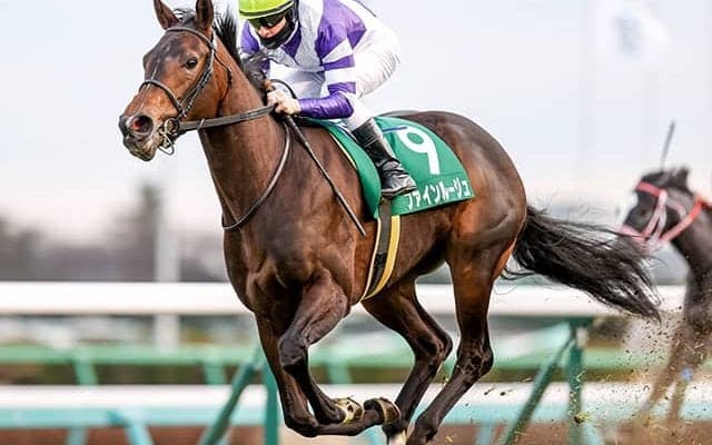 【AI予想・ヴィクトリアマイル】コンビ継続で鬼に金棒!? 世代屈指の「極上マイラー」に妙味あり！