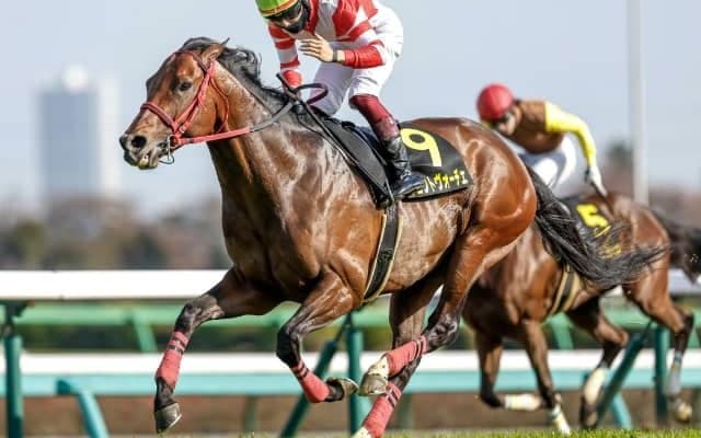 【次走】ヴェントヴォーチェは函館スプリントSで重賞初挑戦 前走リステッド競走をレースレコードで完勝