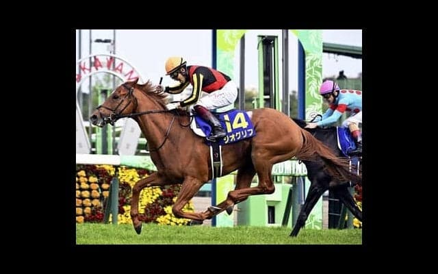 皐月賞を制したジオグリフ。ノド鳴りを抱えながらも陣営が秘める二冠達成への手応え