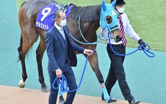 【ヴィクトリアマイル予想】昨年はランブリングアレーを指名！ 7番人気以降の人気薄で好走可能な条件とは？