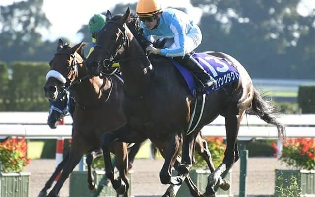 【ヴィクトリアマイル・馬体重】デアリングタクトは486kg(+22)、レイパパレは440kg(+6)