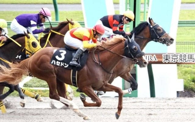 【青竜S】ハセドンが3連勝！直線一気炸裂