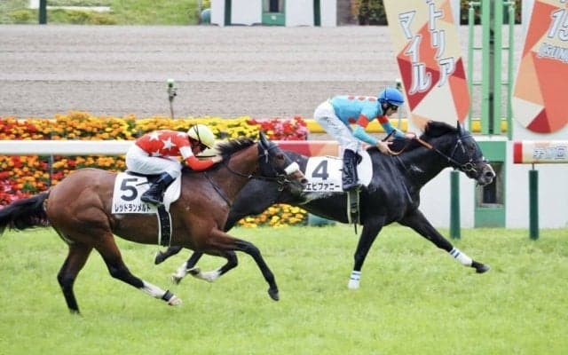 【東京5R】断然人気 エピファニーが快勝