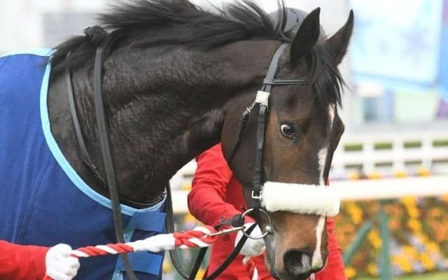 3歳女王決定戦オークス、帝王賞へのステップ・平安S/今週の競馬界の見どころ