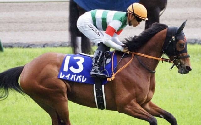 【ヴィクトリアマイル】川田「申し訳なく思います」レース後ジョッキーコメント