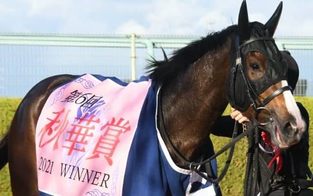 【先週のJRA抹消馬】秋華賞馬アカイトリノムスメ、マイルCSステルヴィオ、チャレンジC覇者ロードマイウェイなど