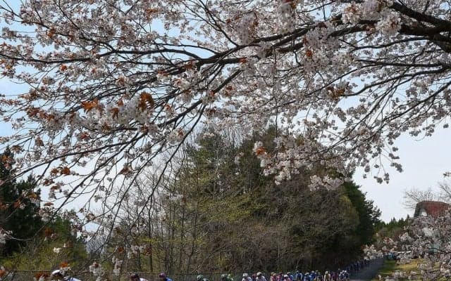 Jプロツアー第4戦・群馬CSCロードレース4月大会DAY1