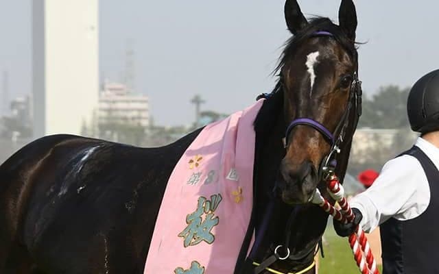 【AI予想・オークス】前走勝利に大きな価値！ 混戦を断つのは「あの有力馬」？
