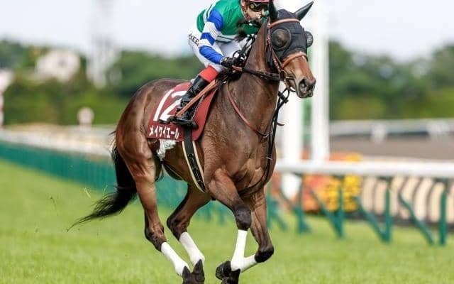 注目の種牡馬ミッキーアイル ディープ＆カナロアに並ぶ〇〇とは？