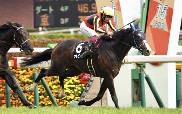 【緑風S】ジオグリフ半兄 アルビージャがオープン入り