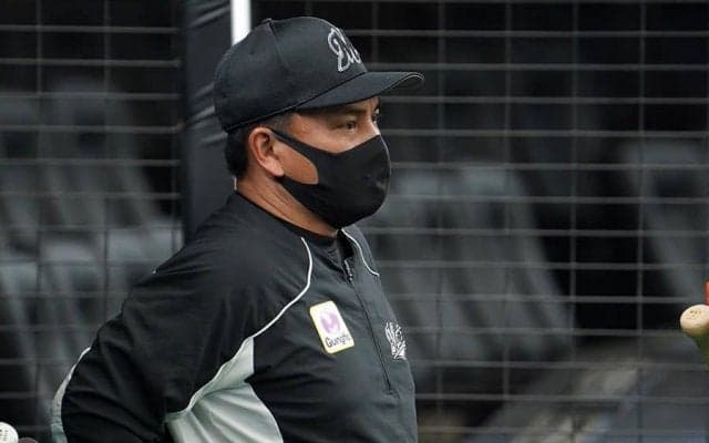 騒動が続く「審判の判定」　元捕手が語る“本音と注文”「一貫性ないのは困る」