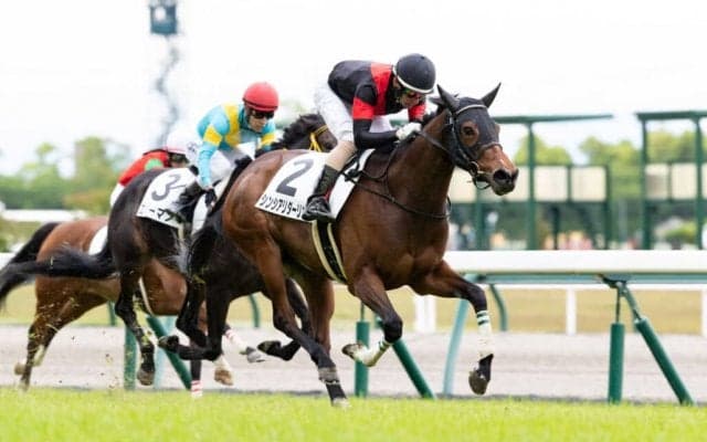 【中京7R】断然人気 シンシアリダーリンが快勝