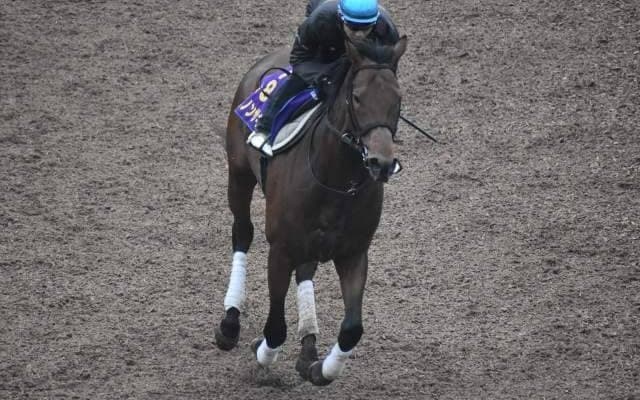 ダノンザキッドなど、先週の入厩情報/栗東トレセンニュース