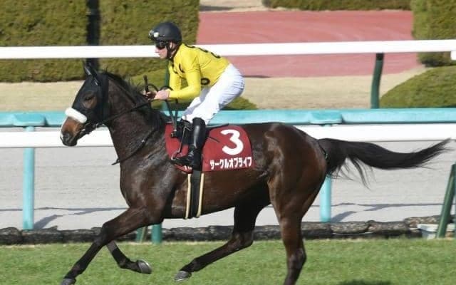 【オークス予想オッズ】2歳女王サークルオブライフが予想1番人気