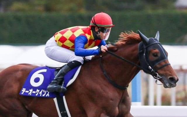 【平安S予想オッズ】テーオーケインズが予想1番人気