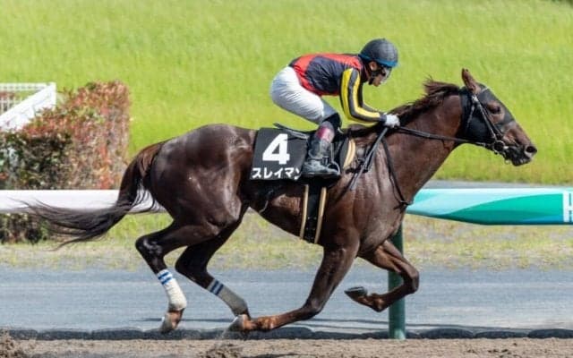 【三河S】良血スレイマンが3連勝でオープン入り