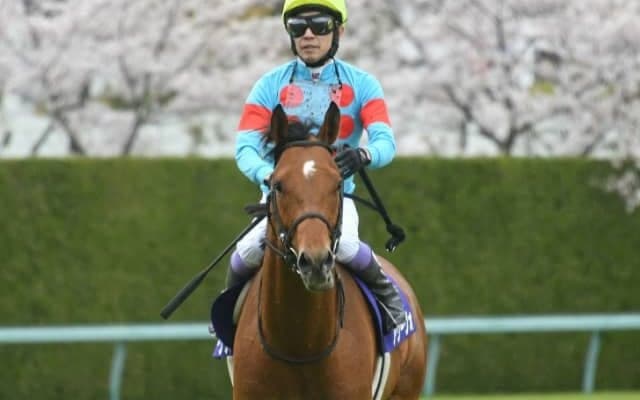 【次走】アリーヴォは宝塚記念へ 前走の大阪杯では上がり最速タイの3着