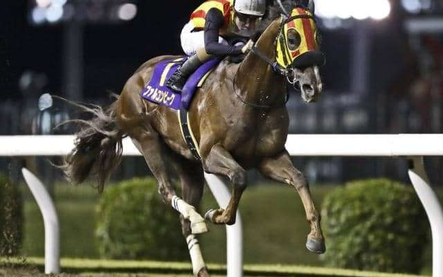 【川崎マイラーズ結果】ファルコンビークが快勝 地元川崎所属馬は同レース初V