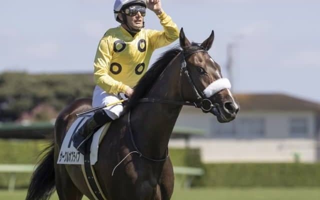 【オークス枠順確定】サークルオブライフは3枠6番、スターズオンアースは大外8枠18番