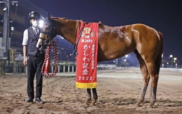 【次走】ショウナンナデシコは帝王賞かスパーキングレディーCへ かしわ記念で牡馬撃破