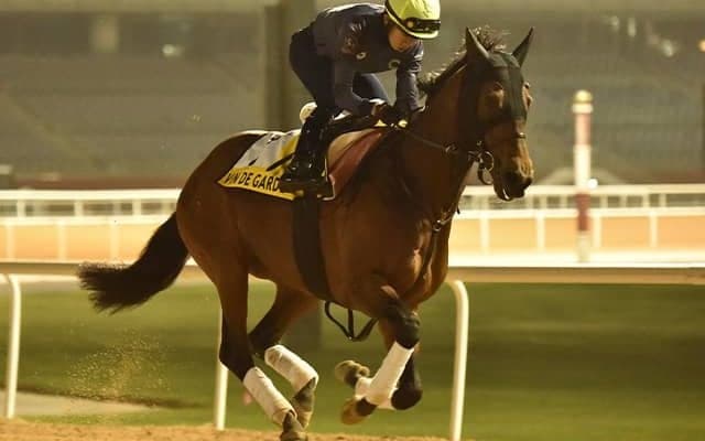 【次走】ヴァンドギャルドは安田記念へ 鞍上は2年ぶりにコンビを組む岩田望来騎手