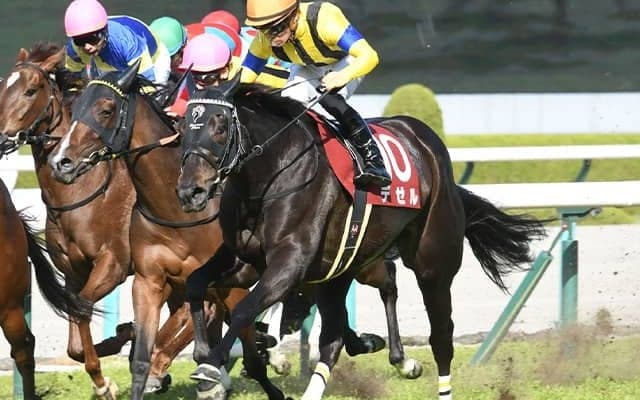 21年の阪神牝馬S覇者デゼルが引退 左前肢浅屈腱炎のため
