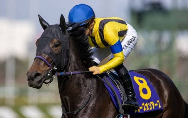 【オークス】出走馬の調教後の馬体重