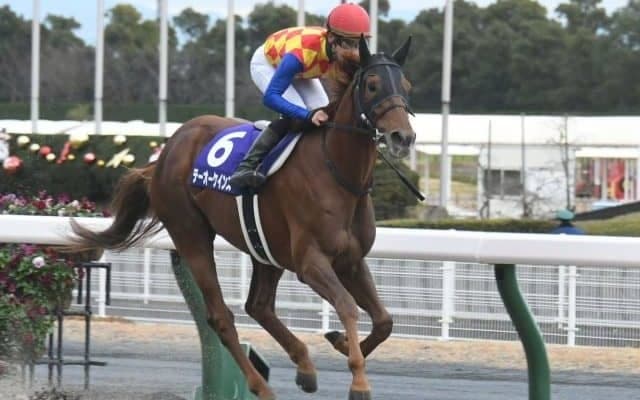 【平安S枠順確定】テーオーケインズは2枠4番、オーヴェルニュは1枠2番
