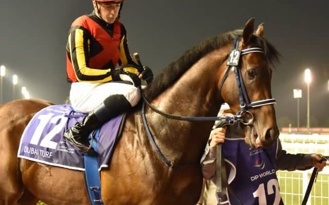 【安田記念想定】シュネルマイスターはC.ルメール騎手、カフェファラオは福永祐一騎手