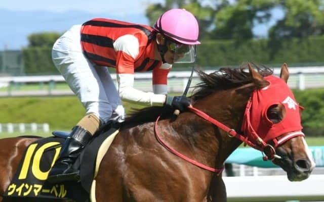 【葵S想定】ウインマーベルは松山弘平騎手、コラリンは池添謙一騎手