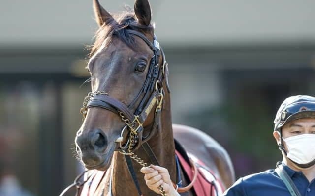 【目黒記念想定】ウインキートスは松岡正海騎手、シルヴァーソニックは川田将雅騎手