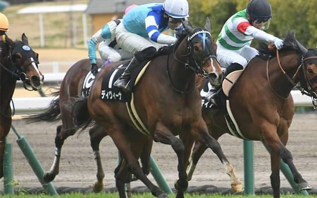 【次走】ディヴィーナは関屋記念へ　母はGI・2勝のヴィルシーナ