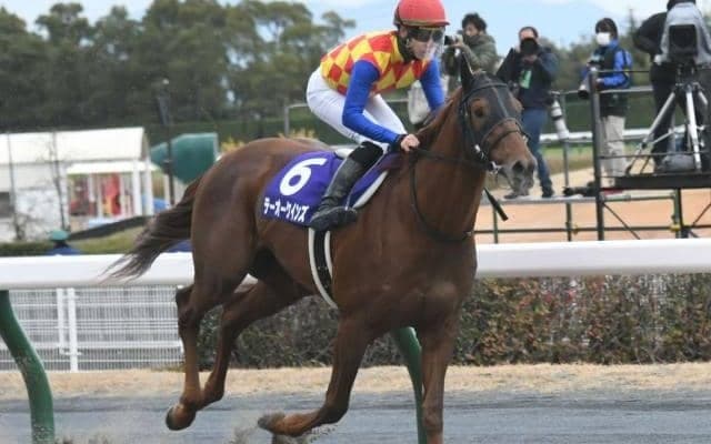 【今日の注目ポイント】中京メイン・平安Sでテーオーケインズが始動