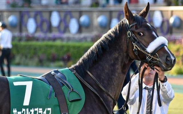 【オークス予想】距離が延びてよさそうな血統背景、初の2400mもこなせそうな底力に期待