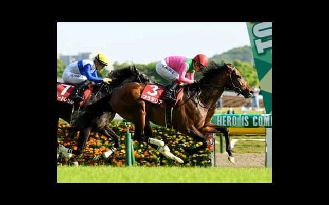 2400ｍ戦の実績はピカイチ。「追えば追うほど伸びる」プラダリアは世代の頂点に立てるか