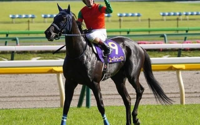 【オークス予想】過去10年馬券圏内ゼロ枠に入るのは？ 上位に食い込む2桁トレンド穴馬を探し出せ！
