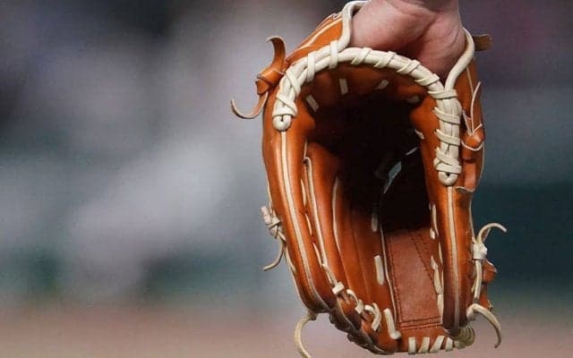 【MLB】ボールが行ったり来たり…　“本塁打”生んだ珍プレーが「面白すぎる。息できない」
