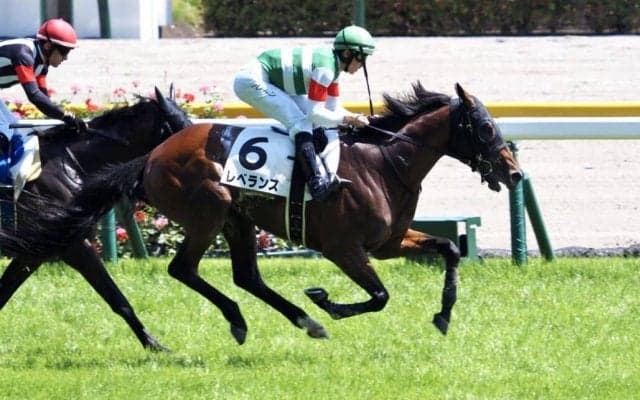 【東京7R】レベランスが2勝目 勝ちタイムは2分27秒3
