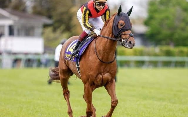 全ホースマンが目指す舞台・日本ダービー/今週の競馬界の見どころ