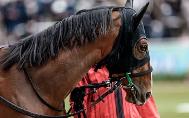 【日本ダービー 注目馬(3)】良血馬アスクビクターモア 安定感と堅実さを武器に世代の頂点へ
