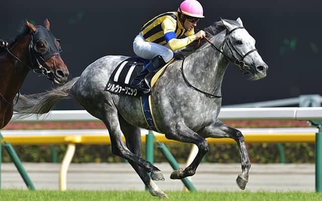 【目黒記念想定騎手】シルヴァーソニックは川田将雅騎手、アリストテレスは武豊騎手