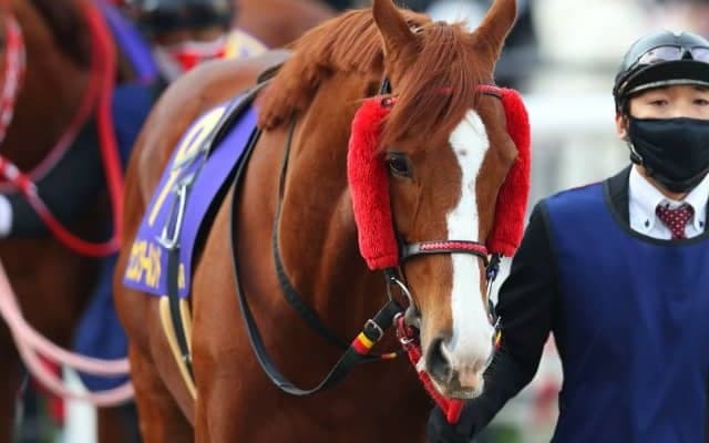 【先週のJRA抹消馬】砂の古豪ウェスタールンド、仏二冠牝馬の娘デゼル、GI馬の半妹グランパラディーゾなど