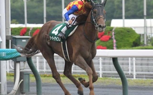 帝王賞での楽しみが広がったテーオーケインズの完勝劇