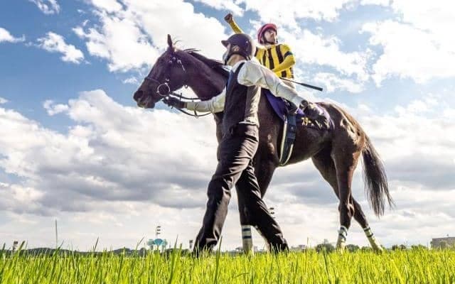 日本で枝葉を広げる名牝スタセリタのファミリー