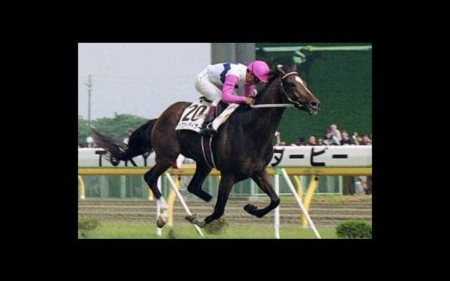 ウマ娘でも快走の奇跡の名馬・トウカイテイオー。皇帝と帝王、父子の物語